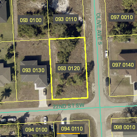 Parcel Arial View