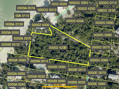 Tax Map