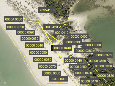 Tax Map