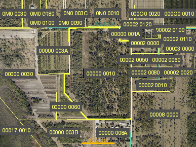 Tax Map