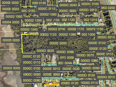 Tax Map
