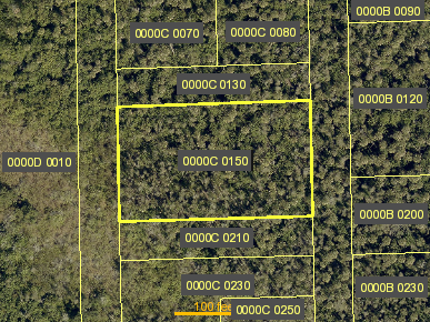 Tax Map