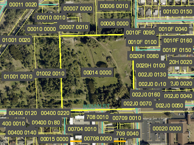 Tax Map