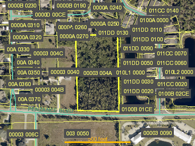 Tax Map