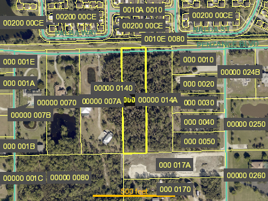Tax Map