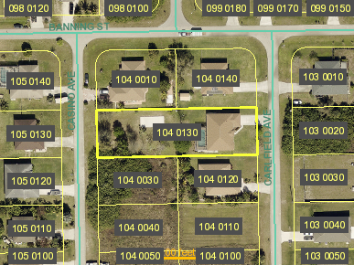 Tax Map