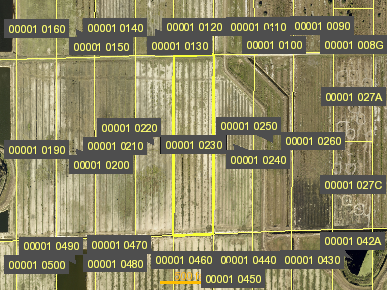 Tax Map