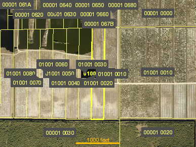 Tax Map