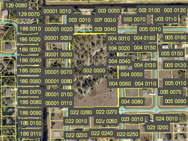 Tax Map