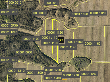 Tax Map