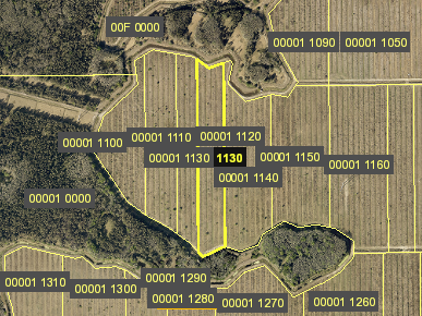 Tax Map