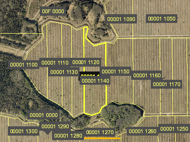 Tax Map