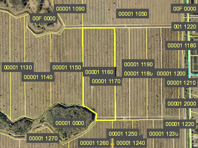 Tax Map