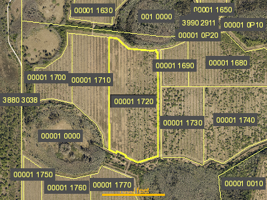 Tax Map