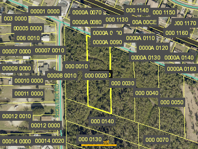 Tax Map
